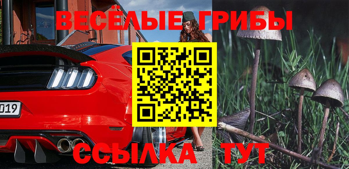 Галлюциногенные грибы ЛСД Белогорск